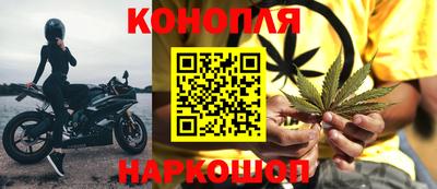 прущие грибы Нягань