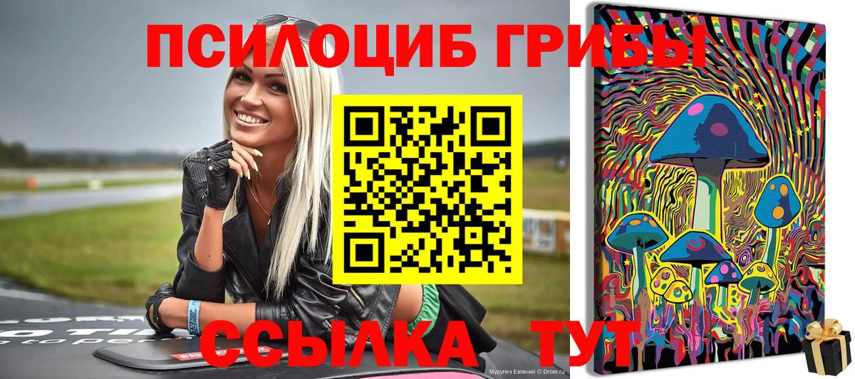 Псилоцибиновые грибы Cubensis  Вход с VPN  Орск 