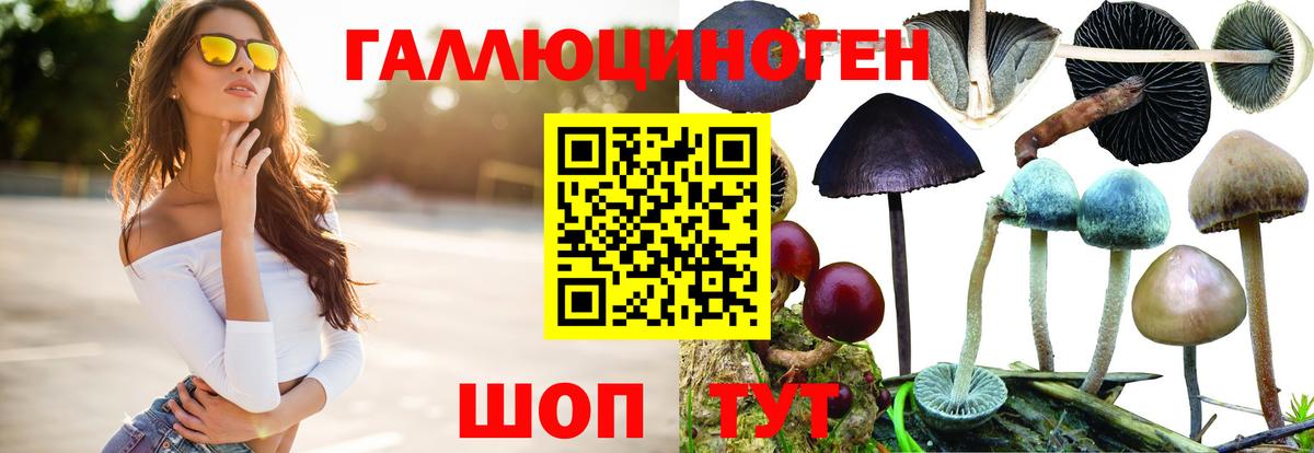 Галлюциногенные грибы Magic Shrooms Орск